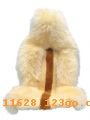 B053