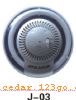 ����װ�ε�ϵ��AUTOMOBILE DECORATION LAMP SERIES_r2_c5��