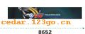 ǰ������ϵ��IN FRONT BACK FILE INSIDE STICK SERIES 38��ǰ������ϵ��IN FRONT,BACK FILE INSIDE STICK SERIES