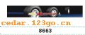 ǰ������ϵ��IN FRONT BACK FILE INSIDE STICK SERIES 62��ǰ������ϵ��IN FRONT,BACK FILE INSIDE STICK SERIES