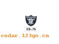 CS-75������������ϵ��