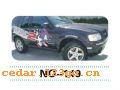NO-149����������Ч��ϵ��AUTOMOBILE APPLIQUE RESULT SERIES
