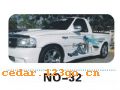 NO-32����������Ч��ϵ��AUTOMOBILE APPLIQUE RESULT SERIES