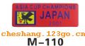 M110��