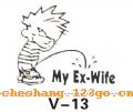 v13��