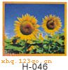 H-046���������� ���� ������
