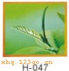 H-047���������� ���� ������