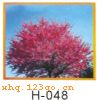 H-048���������� ���� ������