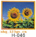 H-046���������� ���� ������