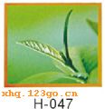 H-047���������� ���� ������