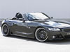 Z4 Mܳ HAMANN(ͼ1)