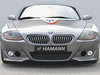 Z4 ܳ HAMANN (ͼ1)