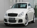 CLS219 BRABUS (ͼ2)