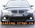 5ϵ M5 HAMANN(ͼ1)