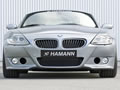 Z4 MСγ HAMANN (ͼ2)