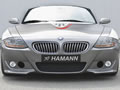 Z4 �ܳ� HAMANN (ͼ1)��