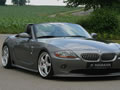 Z4 ܳ HAMANN (ͼ2)