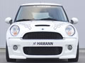 MINI R56 HAMANN (ͼ1)