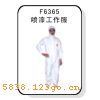 F6365ṤF6365Ṥ