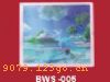 ϵBWS-257