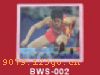 ϵBWS-259