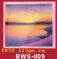 ӡBWS-009