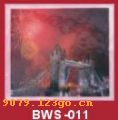 ӡBWS-011