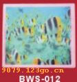 ӡBWS-012