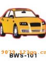 ͨBWS-101