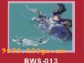 ϵBWS-261